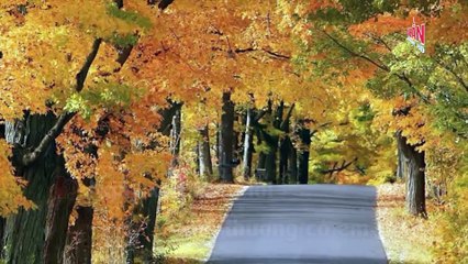 Ngày Xưa Anh Nói (Karaoke Beat) - Quang Lê ft Mai Thiên Vân