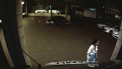 Le SAMU de Paris, urgence dans la ville