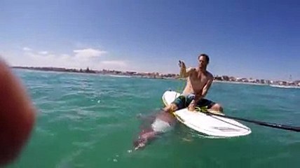 Il aperçoit d’énormes tentacules qui s’accrochent à sa planche, et ce qui suit est très étrange !