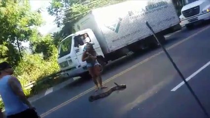 Une femme enlève un serpent du milieu de la route !