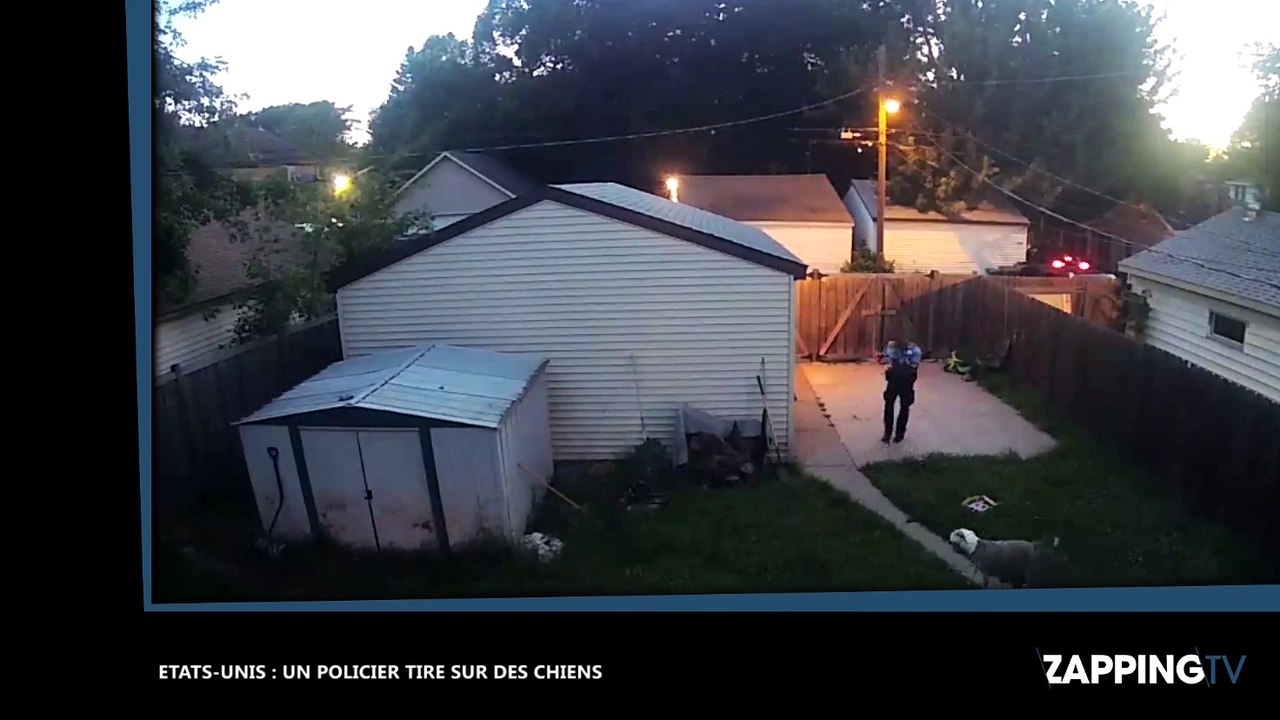Etats-Unis : Un policier tire sur des chiens, scandale dans le pays (Vidéo)