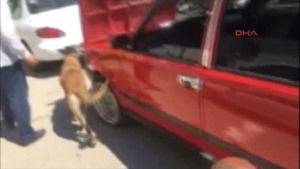 Edirne'de Uyuşturucu Satıcılarına Operasyon 3 Tutuklama