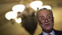Schumer on recess delay: 'Two weeks isn't going to solve their problem'