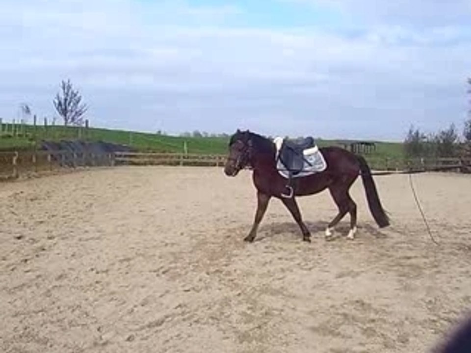 Mouliinette-x