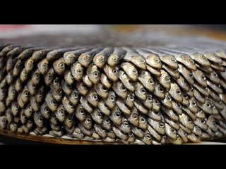 Du poisson pas si bon, enquête sur une filière opaque - Reportage