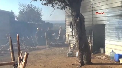 Çanakkale Tarım Arazisinden Çıkan Yangın Ormanı da Yaktı