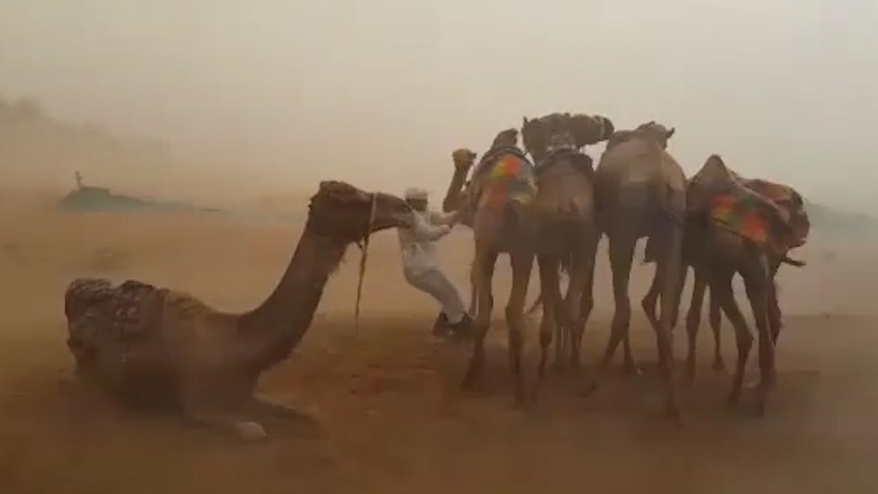 Storm Chasers Capture Unusual Rainstorms In The Desert
