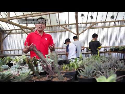 Souvenir Unik Cinta Bumi - NET5