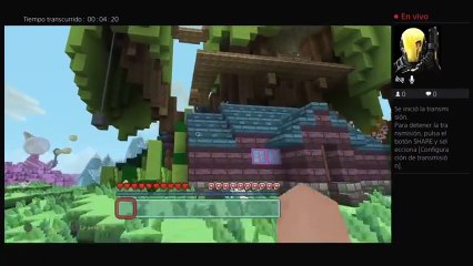 Minecraft (27)