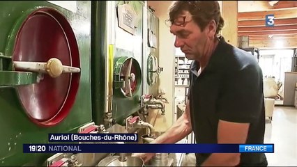 En France, l'huile d'olive se fait de plus en plus rare