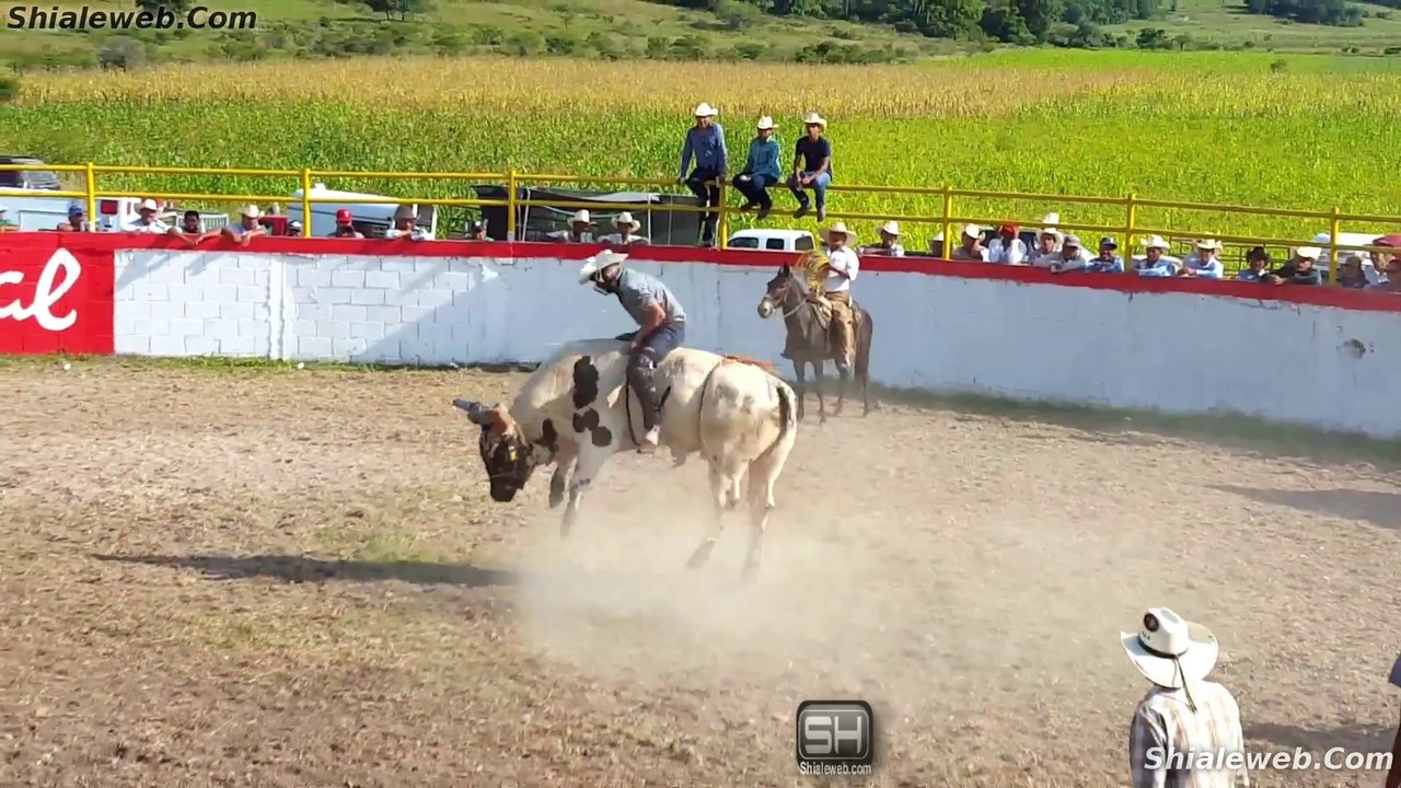 LO MEJOR DEL JARIPEO EXTREMO RANCHERO CON LOS VALIENTES JINETES VS TOROS SALVAJES RODEO