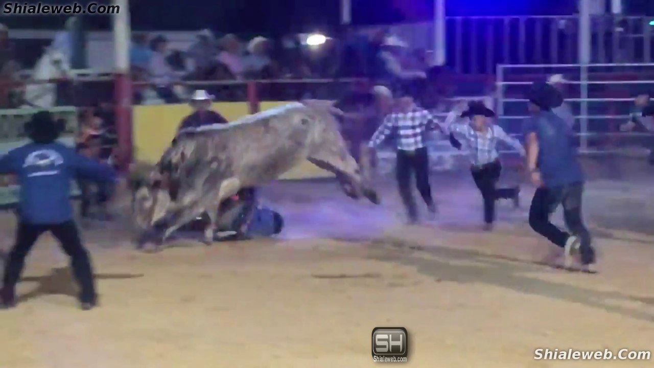 MIRA LO QUE LE HACE ESTE TORO SALVAJE AL JINETE EN EL JARIPEO EXTREMO DE MEXICO LA MEJOR GANADERIA