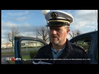 Magouilles et danger sanitaire les gendarmes contre les braconniers de la mer