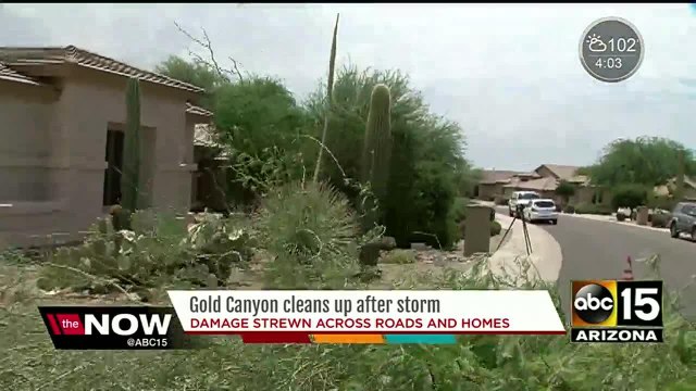 Downburst winds likely caused Gold Canyon damage