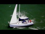 Humpback Whale Narrowly Misses Sailing Boat in San Francisco Bay