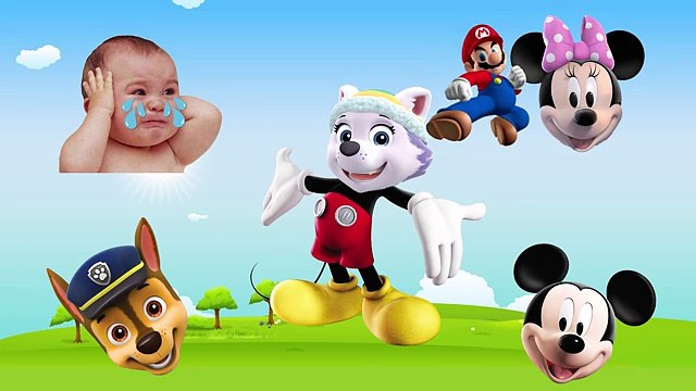 Wrong Heads Rocky Paw Patrol Mickey Mouse Minnie Mouse Finger Family Nursery Rhymes Song For Kids