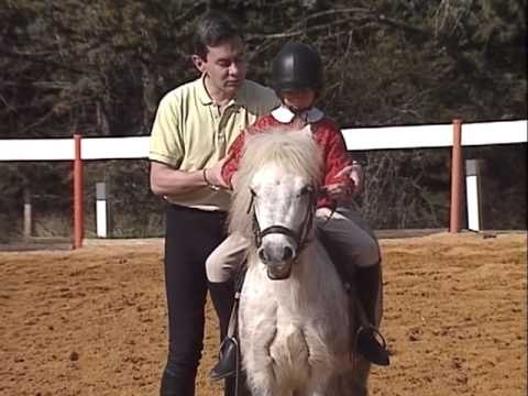 Equitation Sur Poney