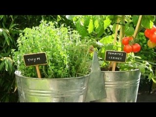 Jardins : un marché florissant - Combien ça coûte ?