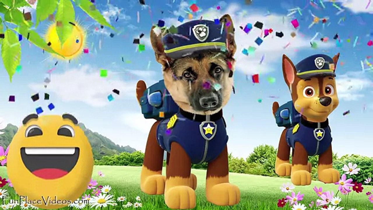 Minnie Mouse Peppa Pig Paw Patrol Chase In Real Life Animals Wrong Heads Finger Family Nursery Kids