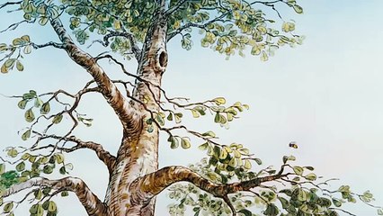 Winnie The Pooh Hindi