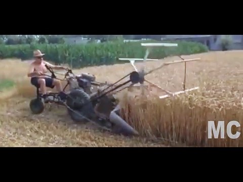 Trucks to harvest rice