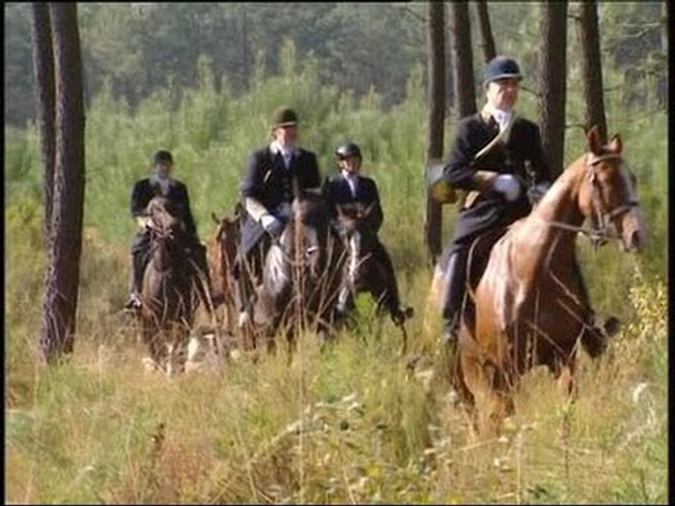 Chasse à courre : les saboteurs attaquent - Reportage