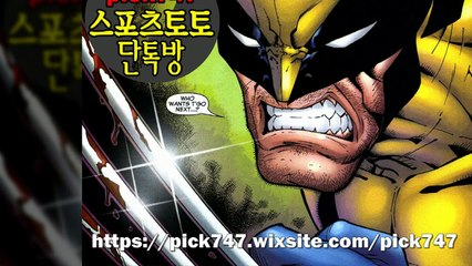 프리미어리그 개막경기 승리팀 알아 맞추기[스포츠토토분석pick747]1