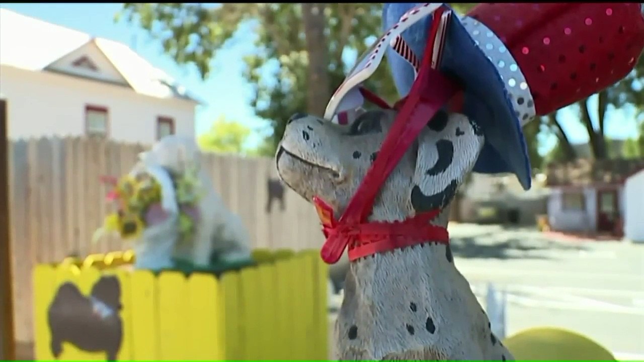 Owner of Pet Boarding Business Accused of Having Customer`s Three Dogs Killed