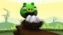 Phim Hoạt Hình  Hoạt Hình 3D Việt Nam Vui Nhộn  Angry Birds