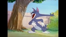 Tom and Jerry  Hoạt Hình Tom và Jerry Cực Hay Tập 17