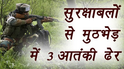 Security Forces encounter 3 terrorists in Budgam