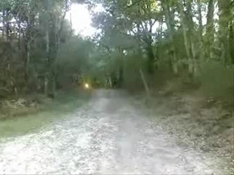 Sorti becane