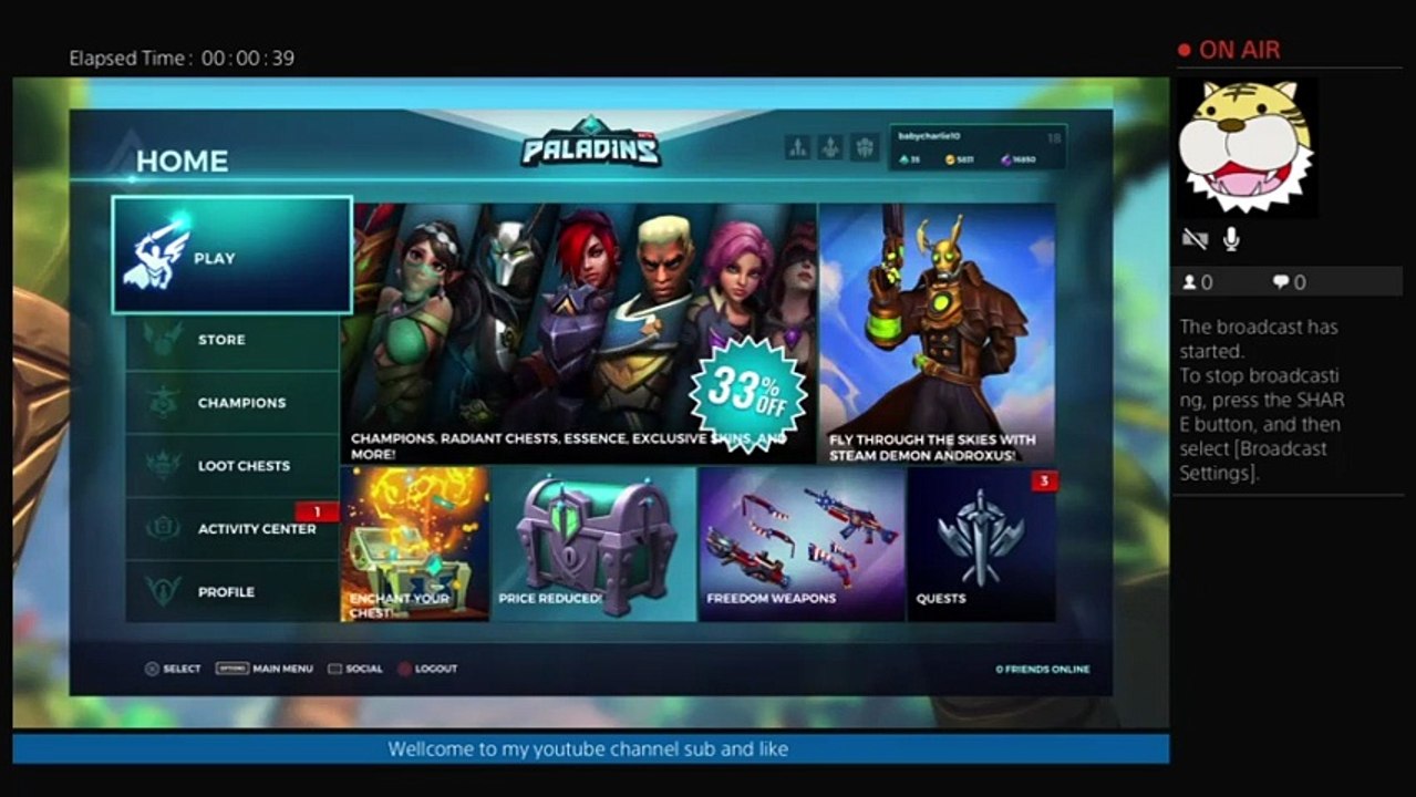 Playing paladins (2)
