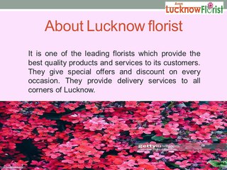 Avon Lucknow Florist