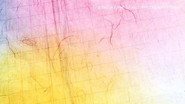 [SUB ESPAÑOL] Lee Minho - Guerilla Date 2015