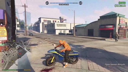 GTA V (95)