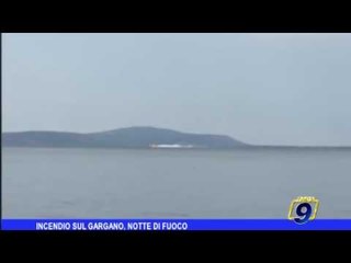 Incendio sul Gargano, notte di fuoco