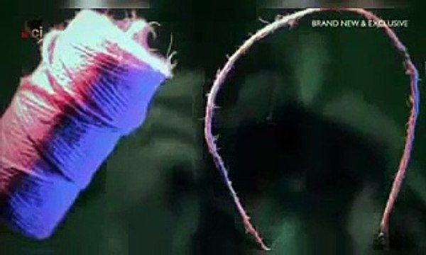 NEW Dateline 2017 NBC [48 Hours 20_20] - The Murder of Barbara Harold , Tv Series FullHD Movies cinema 2017 & 2018