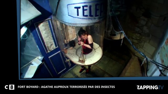 Agathe Auproux terrorisée par des insectes dans Fort Boyard ! (Vidéo)