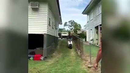 Fails of the Week - February Week 2 - 2017 | Funny Fail Compilation