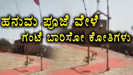 Monkeys Ring Bell At Hanuman Temple | Oneindia Kannada