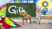 Chien pour enfants Apprendre partie le le le le la vidéo avec Alphabet lizzy |