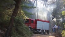 Emergjencat e zjarreve - Top Channel Albania - News - Lajme