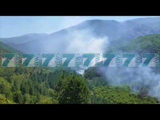 NUK NDALEN FLAKET E ZJARREVE - News, Lajme - Kanali 8