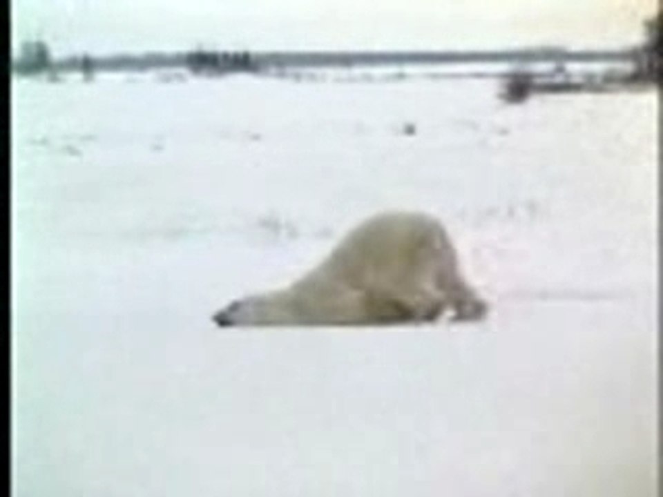 En algérie si com sa