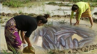 Amazing Creative beautiful girl trap fish using by Petro in my village