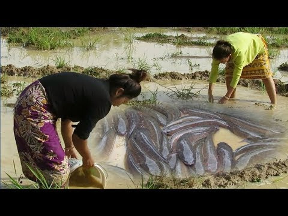 Amazing Creative beautiful girl trap fish using by Petro in my village