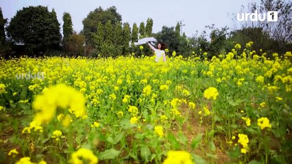 Kesi Ye Paheli - Episode 10 | Urdu1