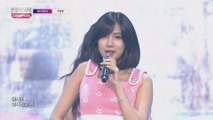 Show Champion EP.236 APINK - FIVE [에이핑크 - 파이브]