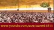 Emotional Speech By Sunni Moulana Peerzada Raza Saqib Mustafai(Must Watch & Share) - YouTube